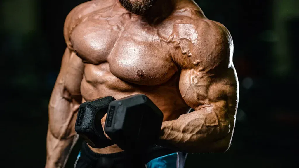 Rexobol 50 (Stanozolol): Stanozolol Oral Side Effects, Benefits, Dosages, And So Much More Information About Rexobol in Bodybuilding